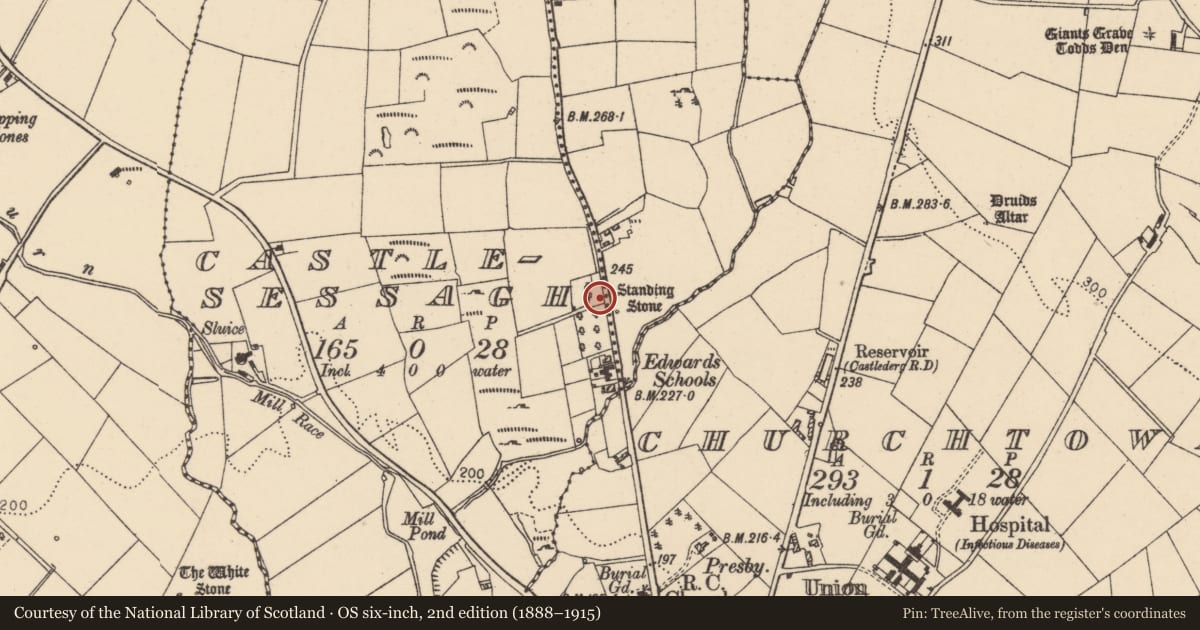 Ordnance Survey six-inch map, 2nd edition (1888–1915) covering the location of Standing Stone, Freughlough, Derry City and Strabane, with a pin at the register's coordinates