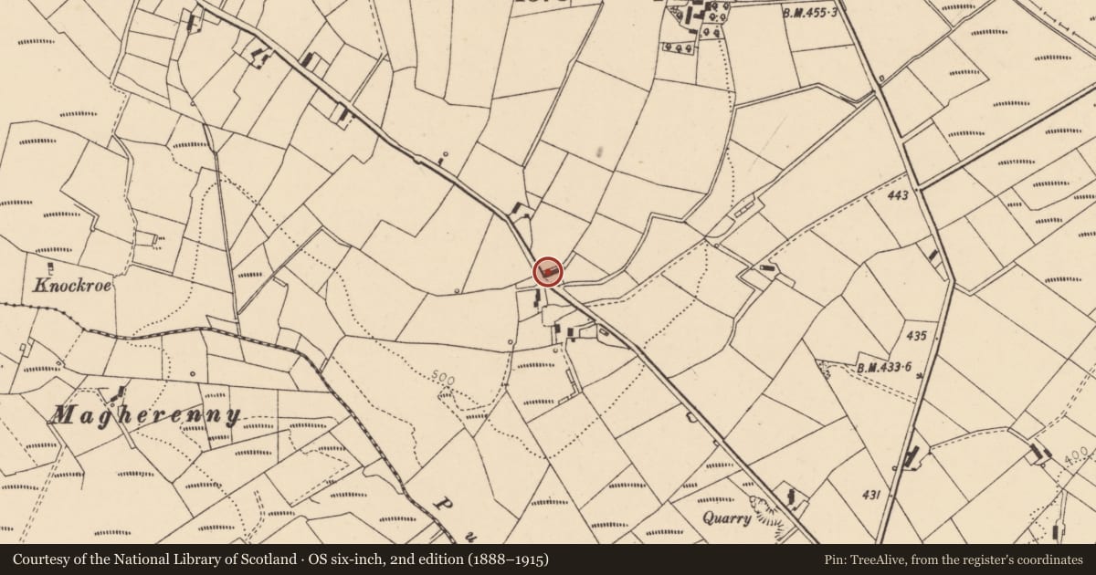Ordnance Survey six-inch map, 2nd edition (1888–1915) covering the location of 41 Pullyernan Road, Derry City and Strabane, with a pin at the register's coordinates