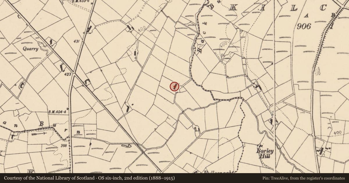 Ordnance Survey six-inch map, 2nd edition (1888–1915) covering the location of 21 Pullyernan Road, Derry City and Strabane, with a pin at the register's coordinates