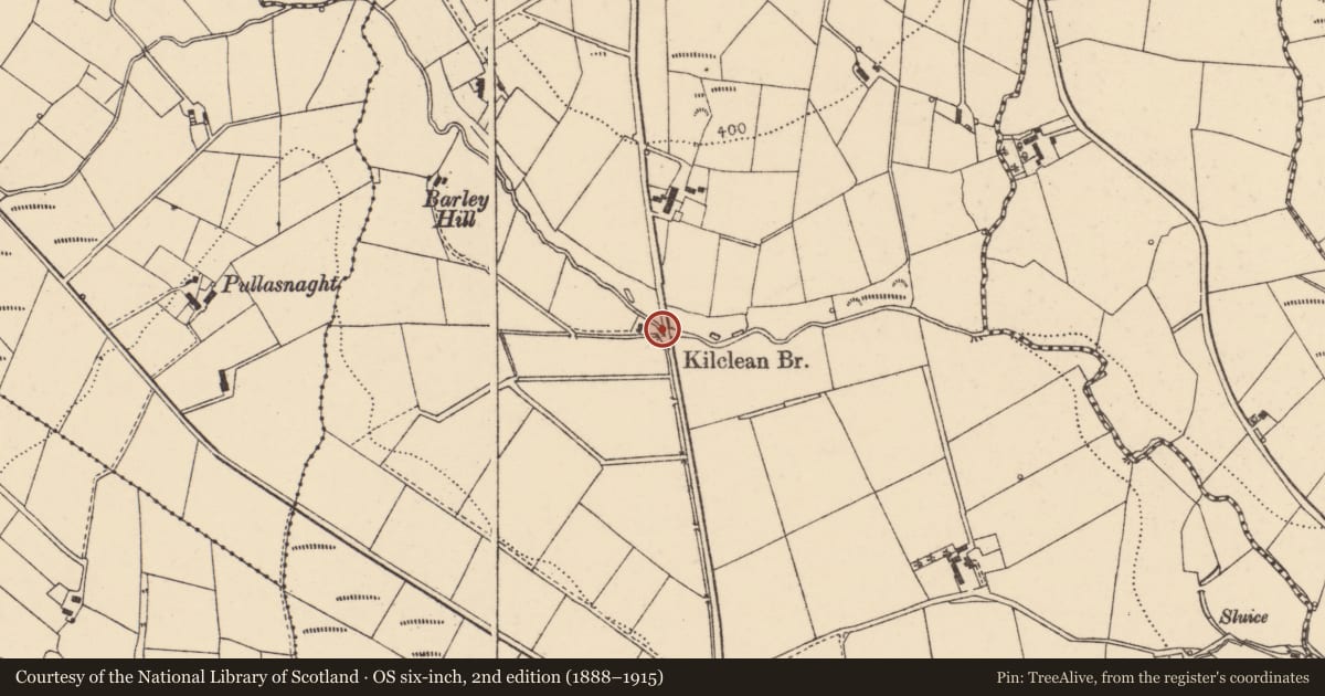 Ordnance Survey six-inch map, 2nd edition (1888–1915) covering the location of Kilclean Bridge, Derry City and Strabane, with a pin at the register's coordinates