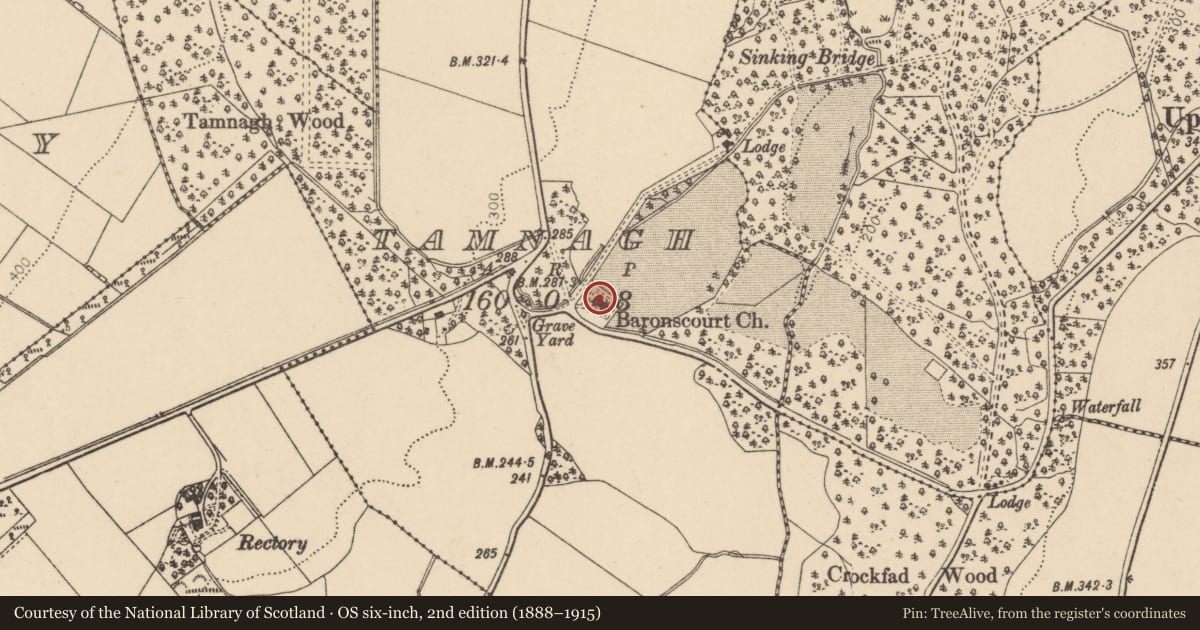 Ordnance Survey six-inch map, 2nd edition (1888–1915) covering the location of Baronscourt Parish Church, Tamnagh, Derry City and Strabane, with a pin at the register's coordinates