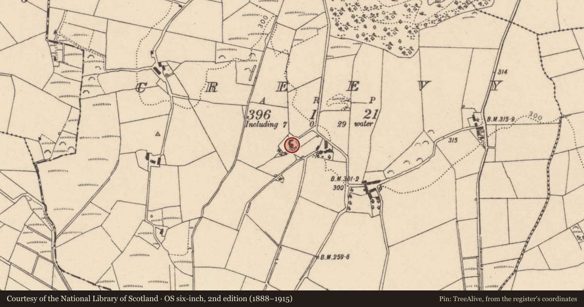 Ordnance Survey six-inch map, 2nd edition (1888–1915) covering the location of Vernacular House, 25 Creevy Road, Castlederg, BT81 7PW, Derry City and Strabane, with a pin at the register's coordinates