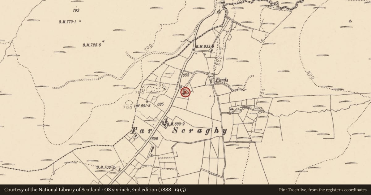 Ordnance Survey six-inch map, 2nd edition (1888–1915) covering the location of 94 Scraghy Road, Fermanagh and Omagh, with a pin at the register's coordinates