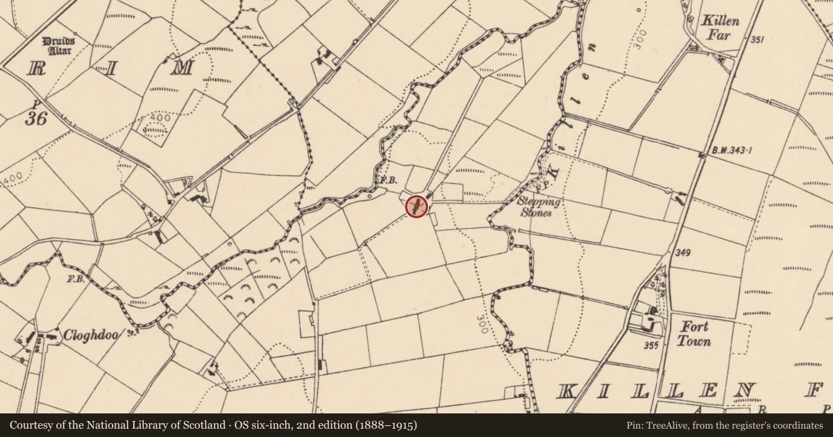 Ordnance Survey six-inch map, 2nd edition (1888–1915) covering the location of 19 Edenreagh Road, Derry City and Strabane, with a pin at the register's coordinates