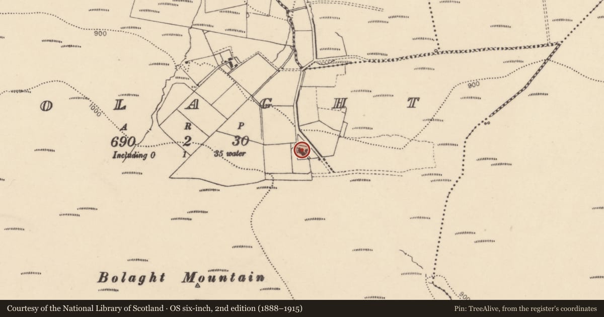 Ordnance Survey six-inch map, 2nd edition (1888–1915) covering the location of 20 Bolaght Road, Derry City and Strabane, with a pin at the register's coordinates