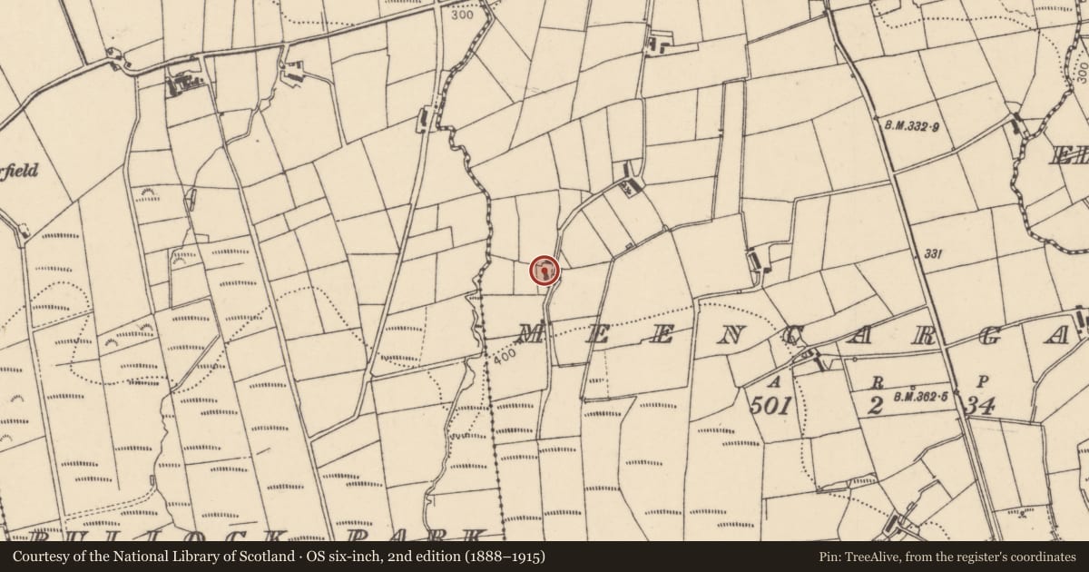 Ordnance Survey six-inch map, 2nd edition (1888–1915) covering the location of 97 Lettercarn Road, Meencargagh, Derry City and Strabane, with a pin at the register's coordinates