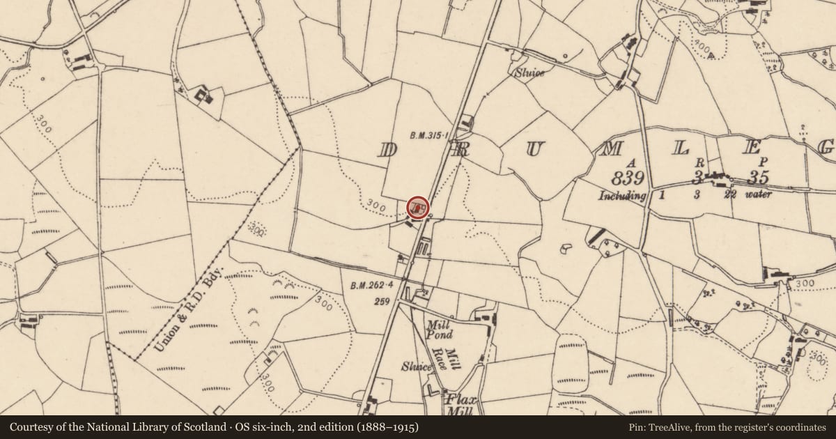 Ordnance Survey six-inch map, 2nd edition (1888–1915) covering the location of 55 Drumlegagh Church Road, Derry City and Strabane, with a pin at the register's coordinates