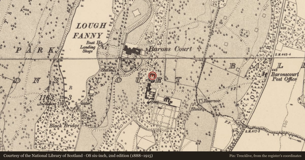 Ordnance Survey six-inch map, 2nd edition (1888–1915) covering the location of The Stableyard, Barons Court, Derry City and Strabane, with a pin at the register's coordinates