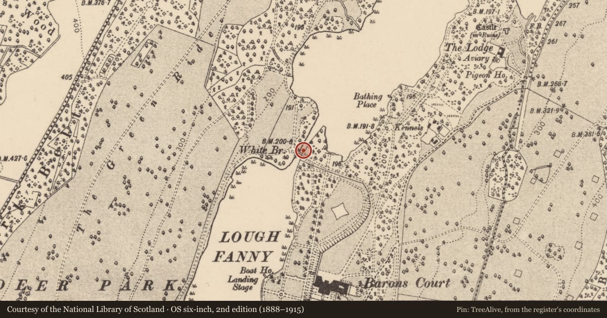 Ordnance Survey six-inch map, 2nd edition (1888–1915) covering the location of White Bridge, Barons Court, Derry City and Strabane, with a pin at the register's coordinates