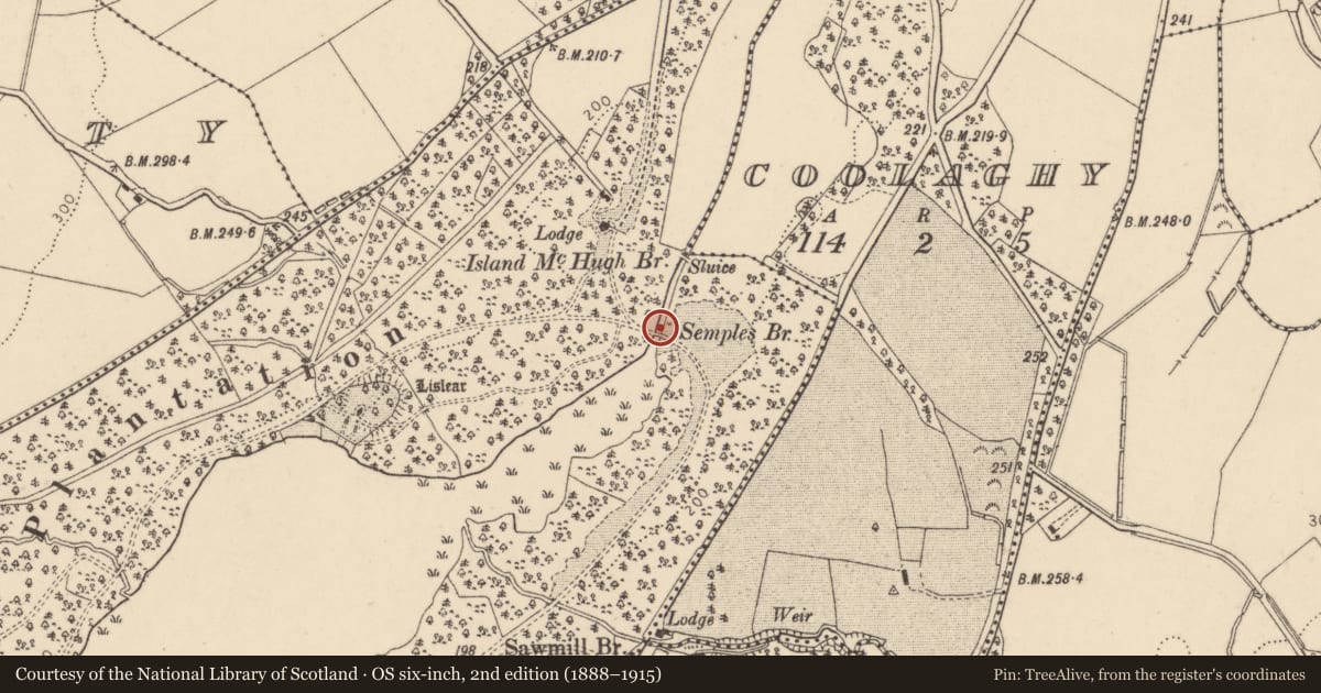 Ordnance Survey six-inch map, 2nd edition (1888–1915) covering the location of Semple's Bridge, Barons Court, Derry City and Strabane, with a pin at the register's coordinates