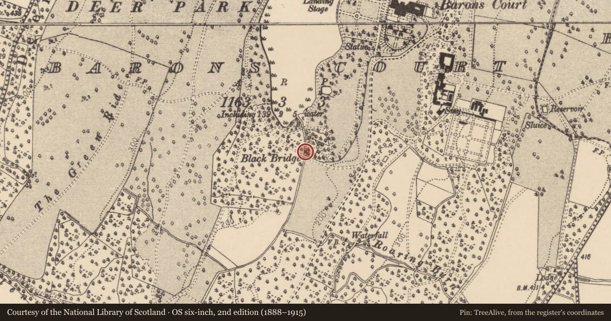 Ordnance Survey six-inch map, 2nd edition (1888–1915) covering the location of Black Bridge, Barons Court, Derry City and Strabane, with a pin at the register's coordinates