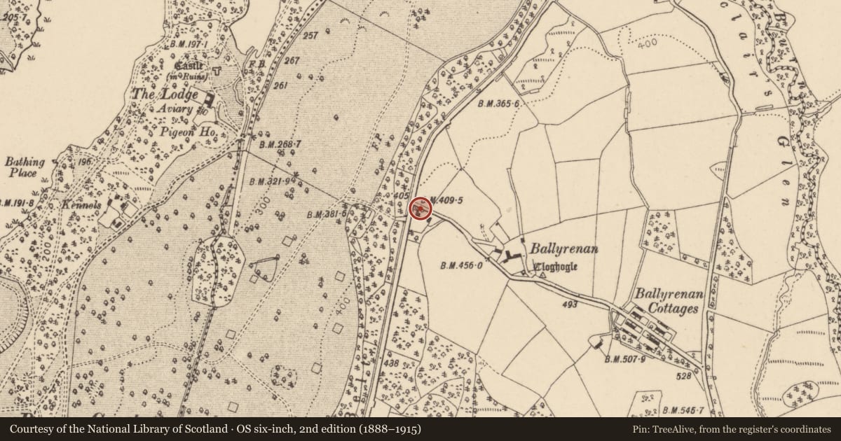 Ordnance Survey six-inch map, 2nd edition (1888–1915) covering the location of Old Inn, Ballyrenan, Derry City and Strabane, with a pin at the register's coordinates