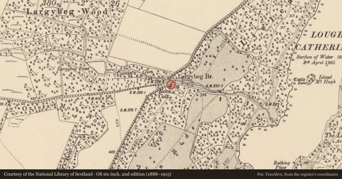 Ordnance Survey six-inch map, 2nd edition (1888–1915) covering the location of Rock Cottage, Barons Court, Derry City and Strabane, with a pin at the register's coordinates