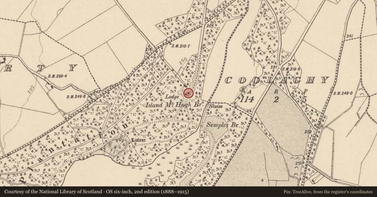 Ordnance Survey six-inch map, 2nd edition (1888–1915) covering the location of Entrance Screen, Barons Court, Derry City and Strabane, with a pin at the register's coordinates