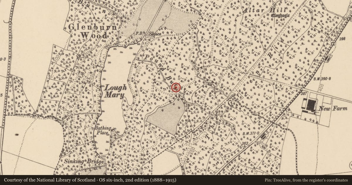 Ordnance Survey six-inch map, 2nd edition (1888–1915) covering the location of Poundburn Bridge, Barons Court, Derry City and Strabane, with a pin at the register's coordinates