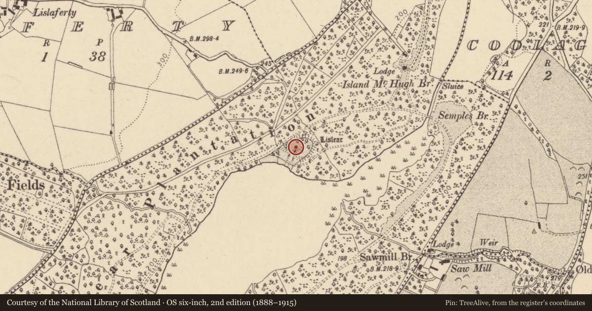 Ordnance Survey six-inch map, 2nd edition (1888–1915) covering the location of Tea House, Lislear, Barons Court, Derry City and Strabane, with a pin at the register's coordinates