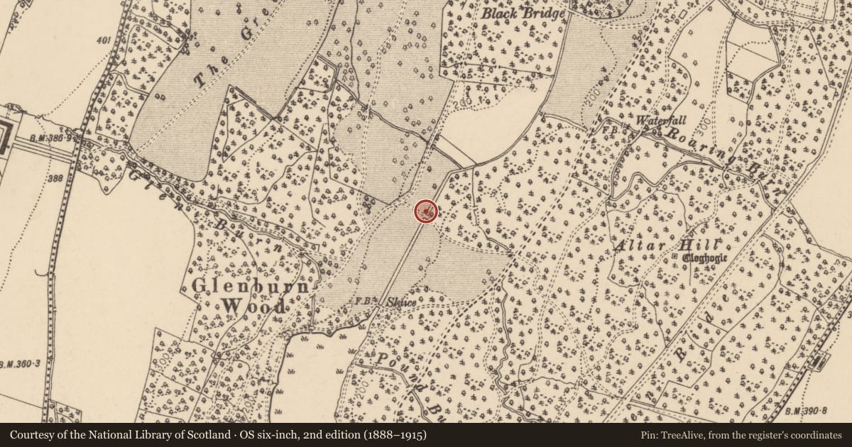 Ordnance Survey six-inch map, 2nd edition (1888–1915) covering the location of Canal Bridge, Barons Court, Derry City and Strabane, with a pin at the register's coordinates