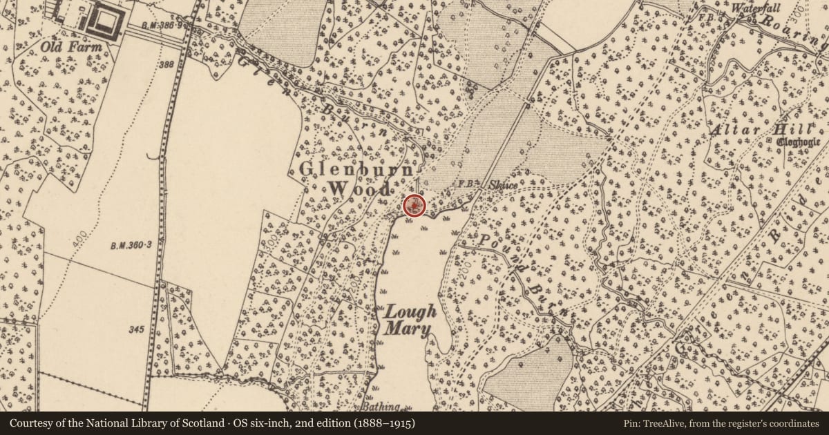 Ordnance Survey six-inch map, 2nd edition (1888–1915) covering the location of Glenburn Bridge, Barons Court, Derry City and Strabane, with a pin at the register's coordinates