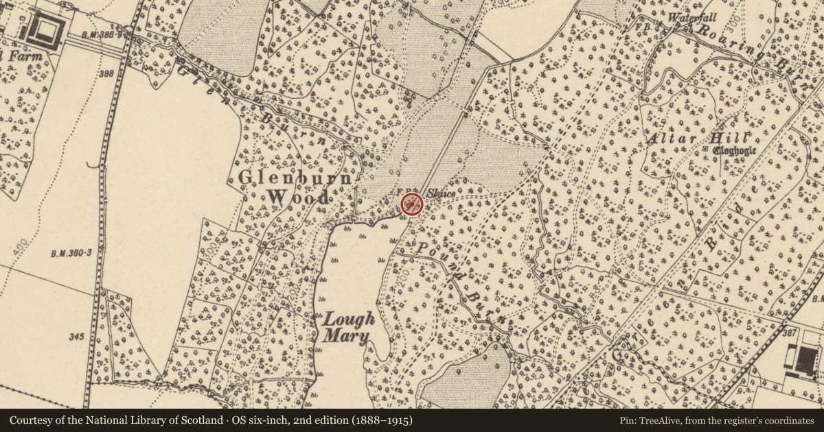 Ordnance Survey six-inch map, 2nd edition (1888–1915) covering the location of Ashwood Bridge, Barons Court, Derry City and Strabane, with a pin at the register's coordinates
