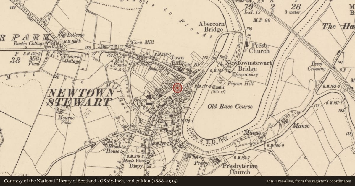 Ordnance Survey six-inch map, 2nd edition (1888–1915) covering the location of Hood & Co., Newtownstewart, Derry City and Strabane, with a pin at the register's coordinates