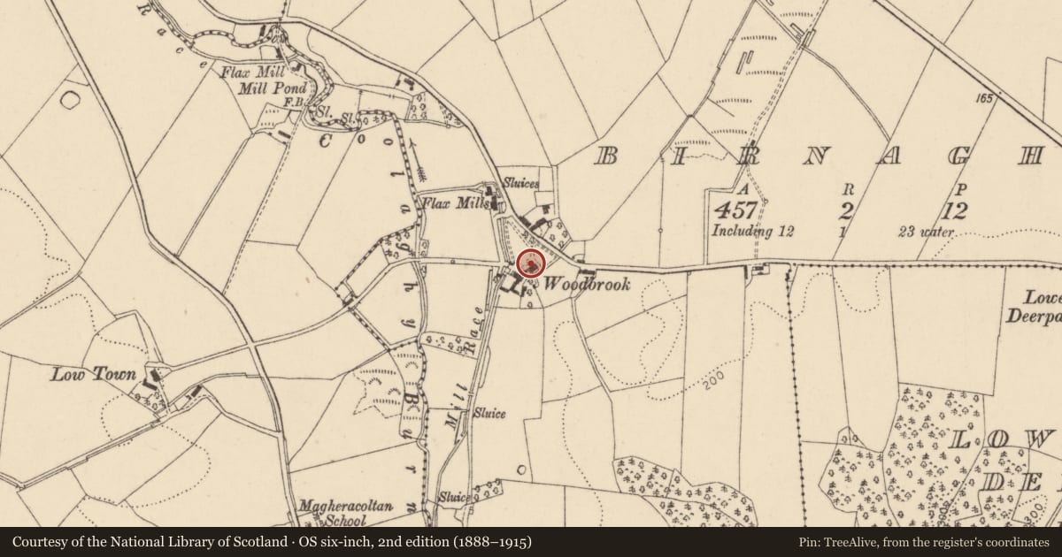 Ordnance Survey six-inch map, 2nd edition (1888–1915) covering the location of Woodbrook, Birnaghs, Derry City and Strabane, with a pin at the register's coordinates