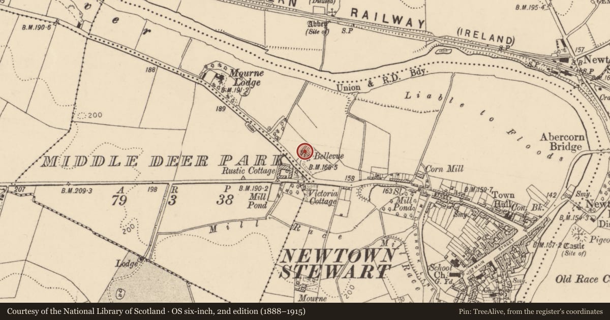 Ordnance Survey six-inch map, 2nd edition (1888–1915) covering the location of Bellevue Villa, Newtownstewart, Derry City and Strabane, with a pin at the register's coordinates