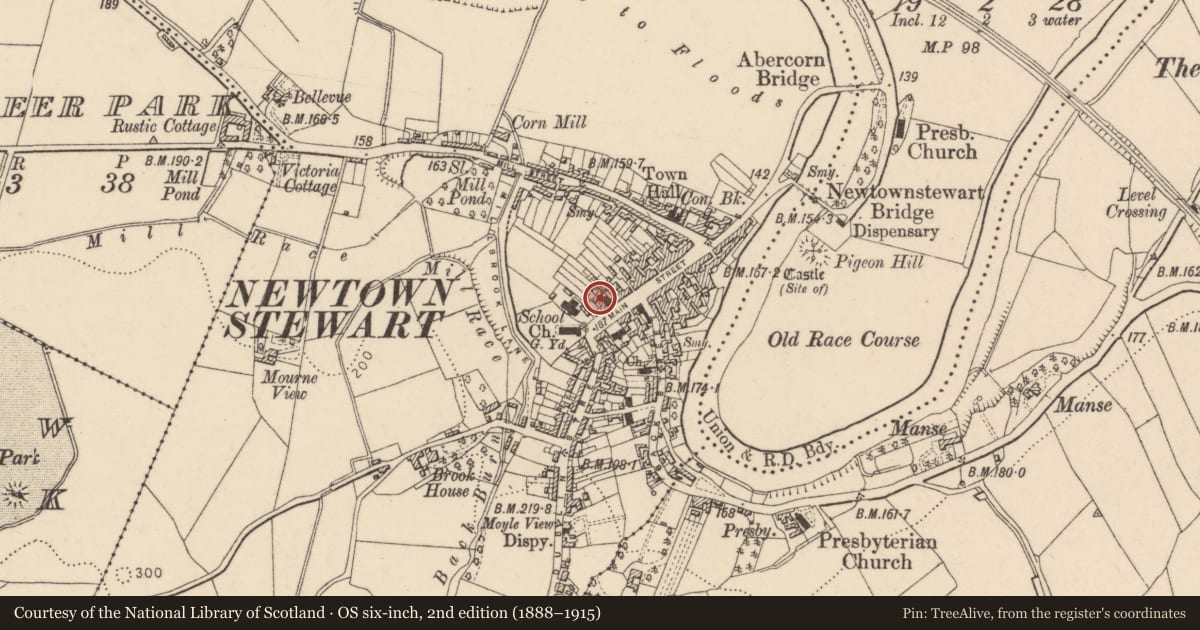 Ordnance Survey six-inch map, 2nd edition (1888–1915) covering the location of McFarland Arnold & Co. Chartered Accountants and Registered Auditors, Newtownstewart, Derry City and Strabane, with a pin at the register's coordinates