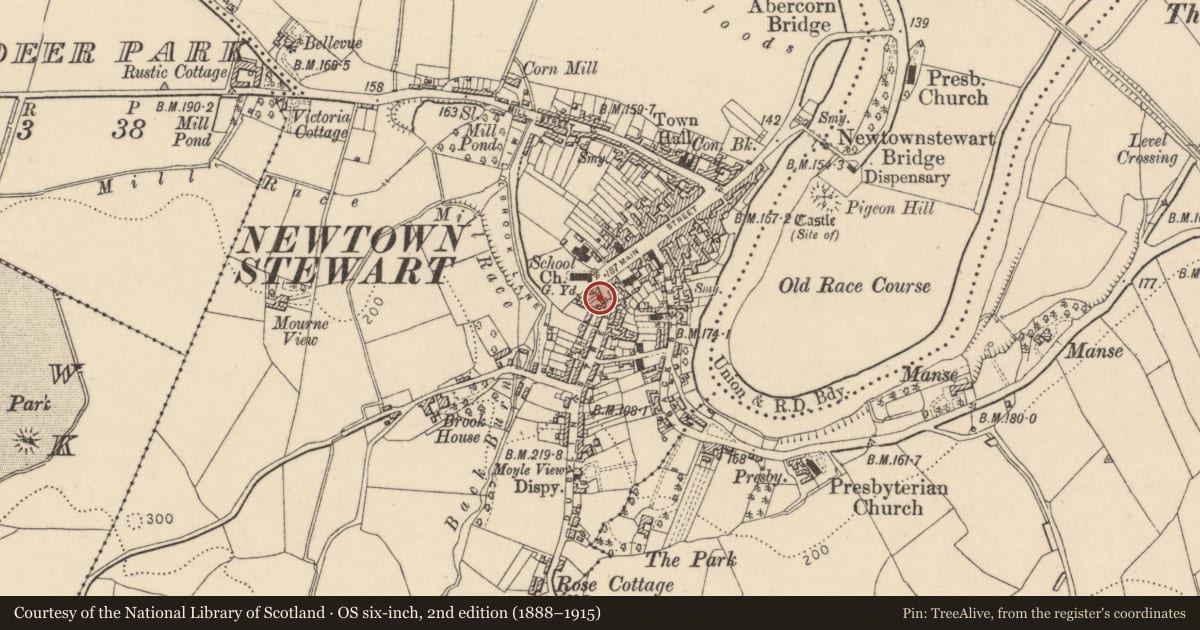 Ordnance Survey six-inch map, 2nd edition (1888–1915) covering the location of 11 Dublin Street, Newtownstewart, Omagh, BT78 4AE, Derry City and Strabane, with a pin at the register's coordinates