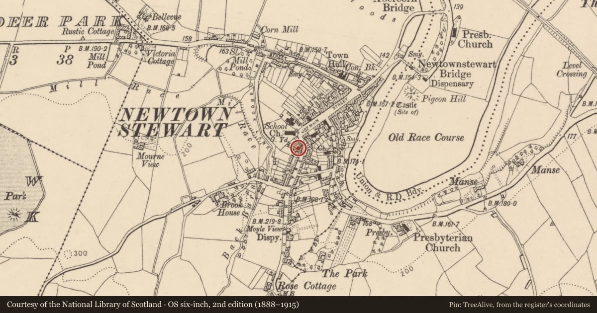 Ordnance Survey six-inch map, 2nd edition (1888–1915) covering the location of 15 Dublin Street. Newtownstewart, Omagh BT78 4AE, Derry City and Strabane, with a pin at the register's coordinates