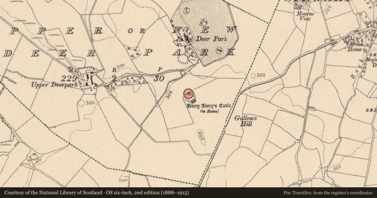 Ordnance Survey six-inch map, 2nd edition (1888–1915) covering the location of Harry Avery's Castle, Oldcastle Road, Newtownstewart BT78 4BS, Derry City and Strabane, with a pin at the register's coordinates