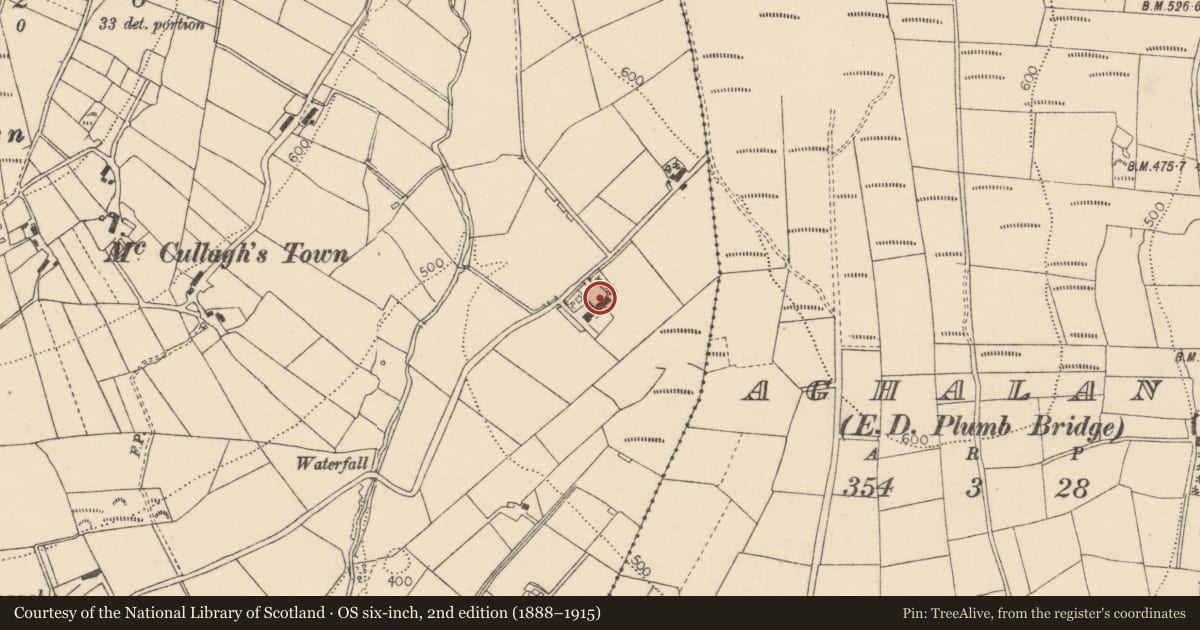 Ordnance Survey six-inch map, 2nd edition (1888–1915) covering the location of 6 Fairview Road, Plumbridge BT79 8DY, Derry City and Strabane, with a pin at the register's coordinates