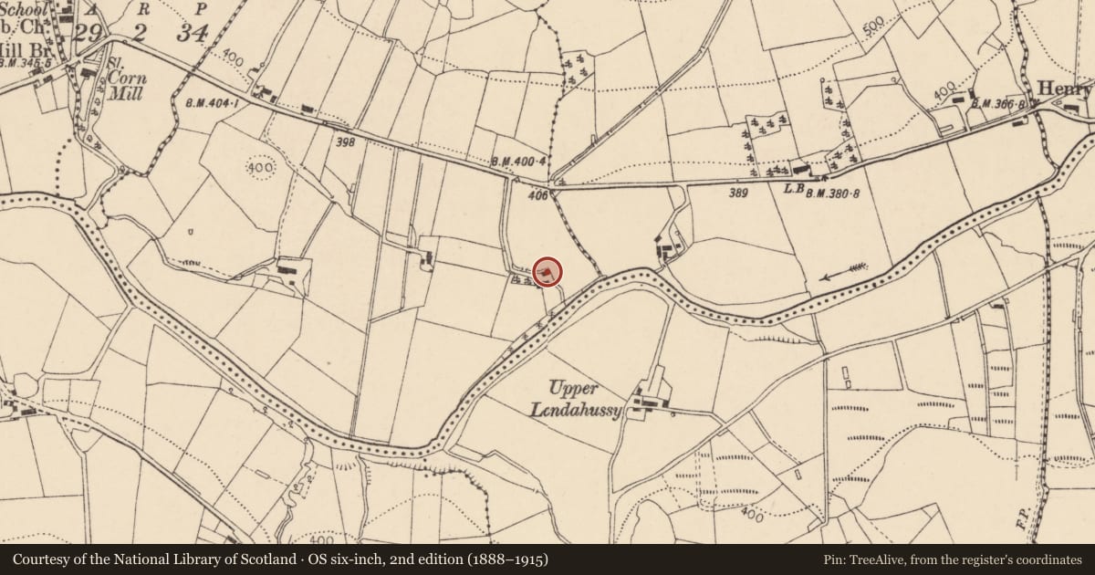 Ordnance Survey six-inch map, 2nd edition (1888–1915) covering the location of House off Glenelly Road, Strabane, Derry City and Strabane, with a pin at the register's coordinates