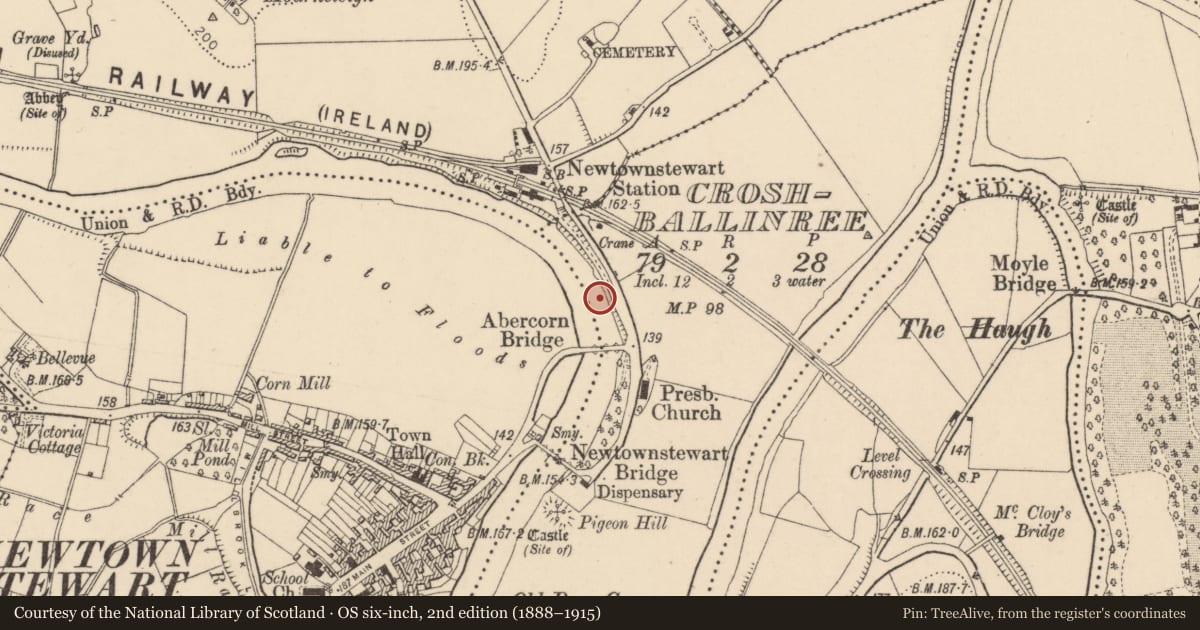Ordnance Survey six-inch map, 2nd edition (1888–1915) covering the location of Abercorn Bridge, castle Brae, Newtownstewart, Omagh BT78 4AS, Derry City and Strabane, with a pin at the register's coordinates