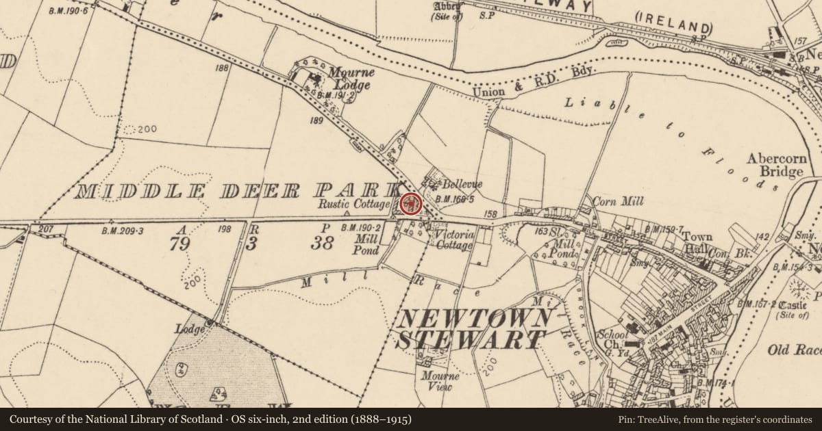 Ordnance Survey six-inch map, 2nd edition (1888–1915) covering the location of 1 Baronscourt Road, Newtownstewart, Co Tyrone BT78 4EX, Derry City and Strabane, with a pin at the register's coordinates