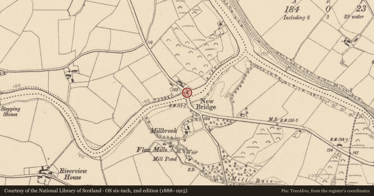 Ordnance Survey six-inch map, 2nd edition (1888–1915) covering the location of New Bridge, Urbalreagh/Milltown, Derry City and Strabane, with a pin at the register's coordinates