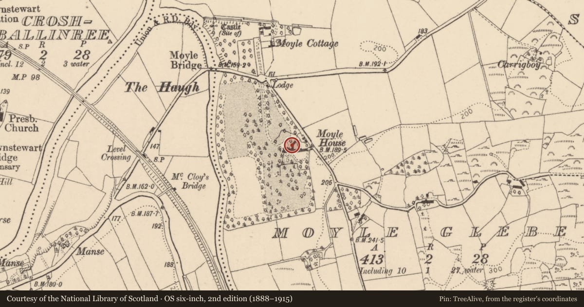 Ordnance Survey six-inch map, 2nd edition (1888–1915) covering the location of Moyle House, 3 Carrigan's Road, Newtownstewart, Omagh, BT78 4EE, Derry City and Strabane, with a pin at the register's coordinates
