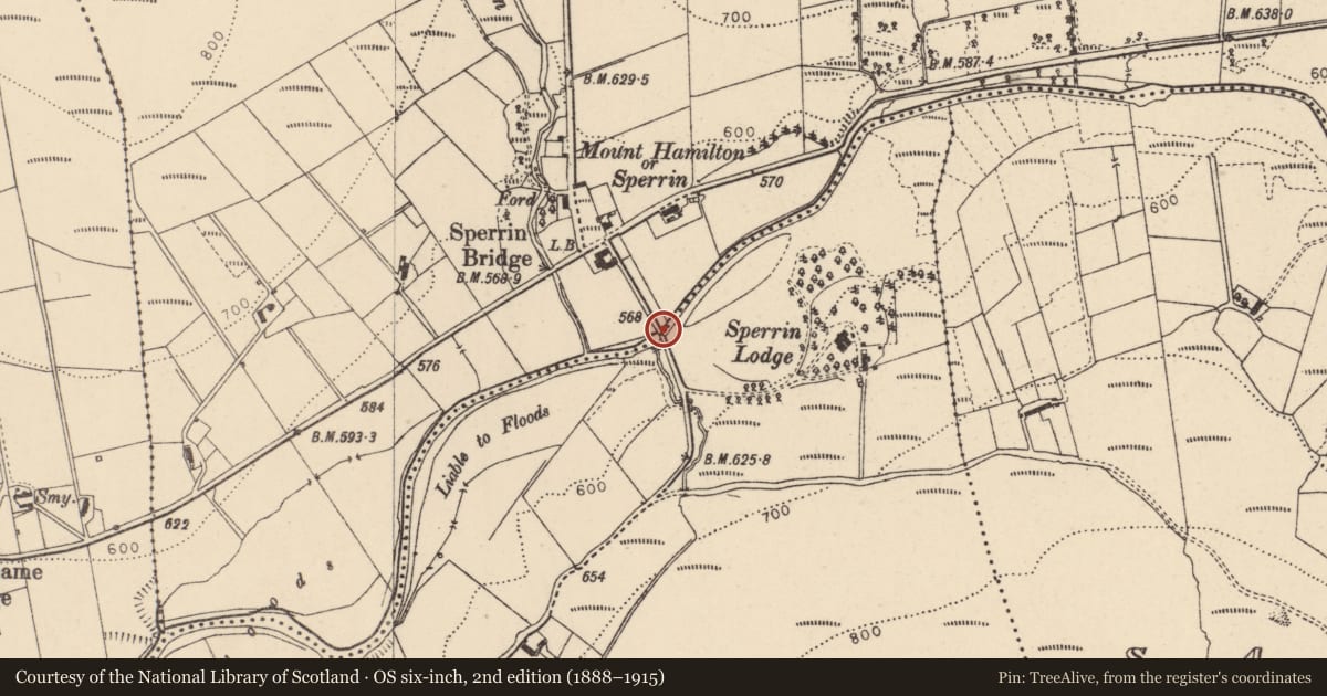 Ordnance Survey six-inch map, 2nd edition (1888–1915) covering the location of Concrete Bridge over the Glenelly River, Corratary/Oughtnamwella, Derry City and Strabane, with a pin at the register's coordinates