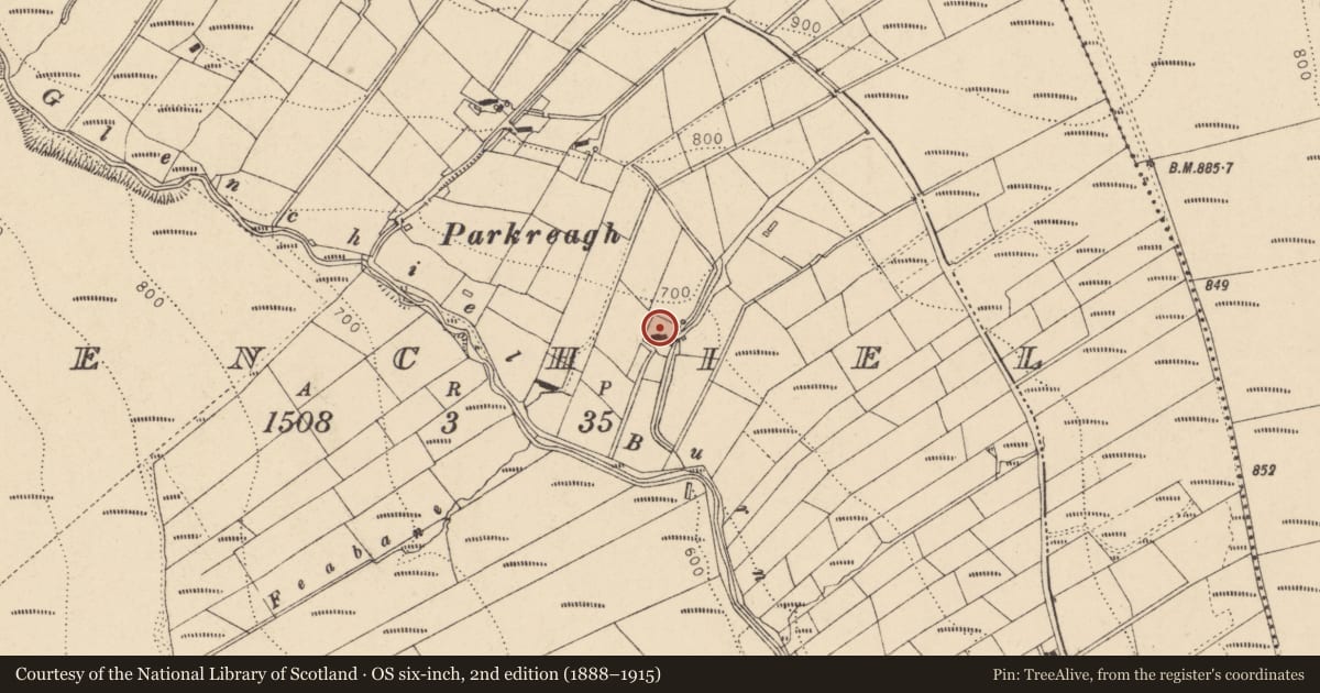 Ordnance Survey six-inch map, 2nd edition (1888–1915) covering the location of 8 Glenchiel Road, Plumbridge, Co Tyrone, BT79 8LN, Derry City and Strabane, with a pin at the register's coordinates