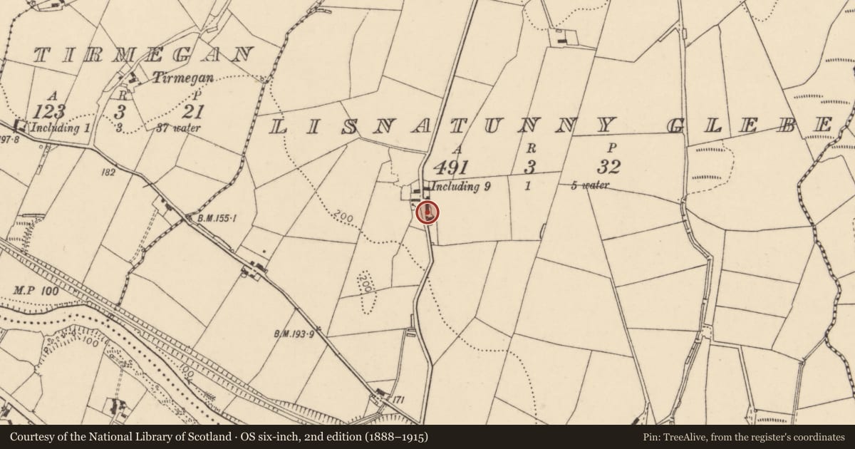 Ordnance Survey six-inch map, 2nd edition (1888–1915) covering the location of 1 Davies Road, Newtownstewart, Co Tyrone BT78 4NH, Derry City and Strabane, with a pin at the register's coordinates