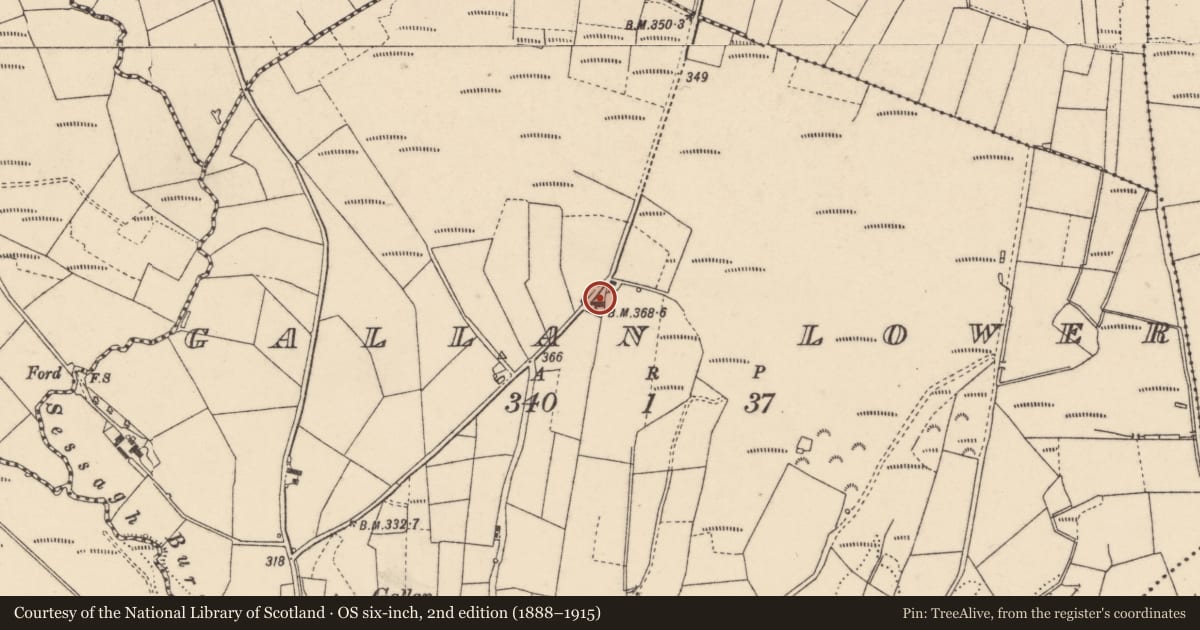 Ordnance Survey six-inch map, 2nd edition (1888–1915) covering the location of 5 Magherabrack Road, Plumbridge, Strabane, Co Tyrone BT79 7EP, Derry City and Strabane, with a pin at the register's coordinates