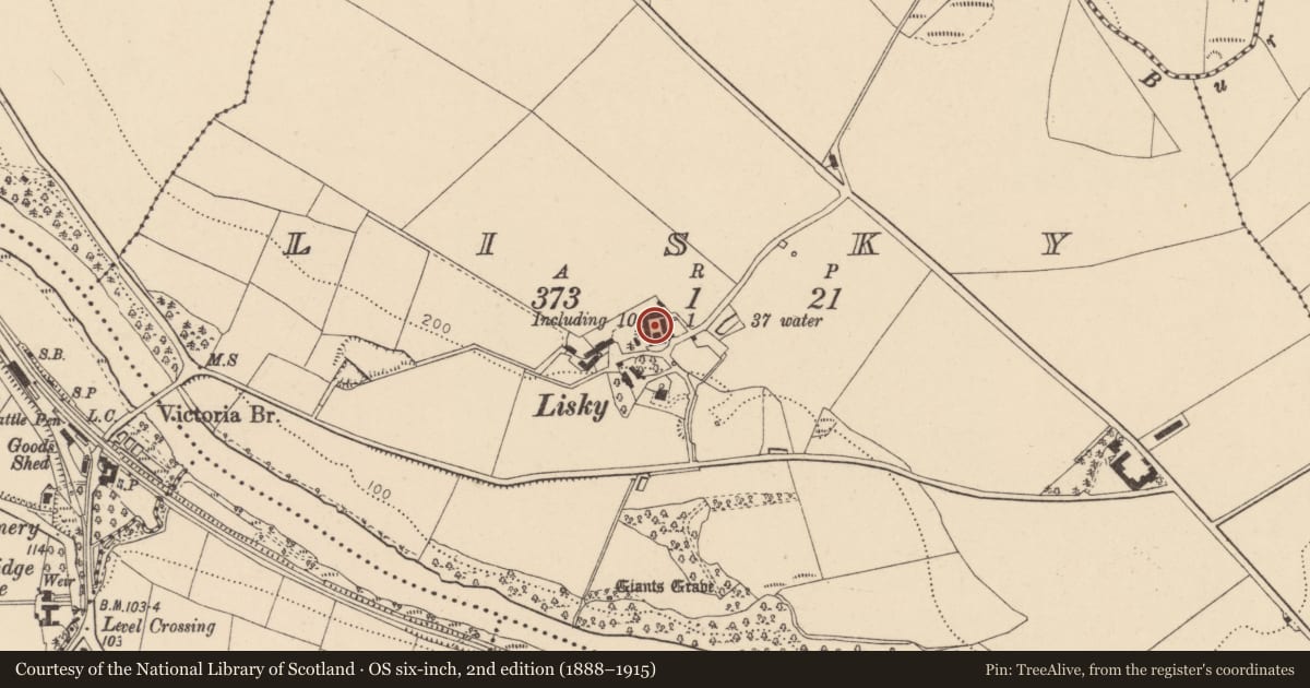 Ordnance Survey six-inch map, 2nd edition (1888–1915) covering the location of Lisky, Derry City and Strabane, with a pin at the register's coordinates