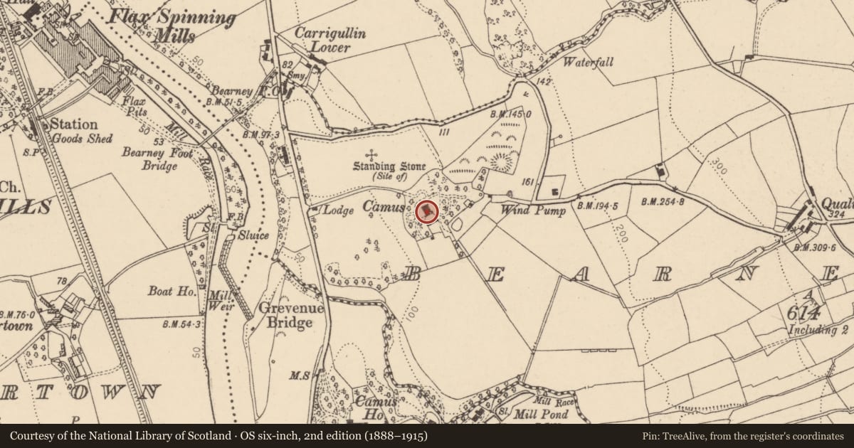 Ordnance Survey six-inch map, 2nd edition (1888–1915) covering the location of Camus (AKA The Grange), Bearney Glebe, Derry City and Strabane, with a pin at the register's coordinates
