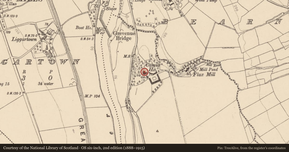 Ordnance Survey six-inch map, 2nd edition (1888–1915) covering the location of Camus House, Derry City and Strabane, with a pin at the register's coordinates