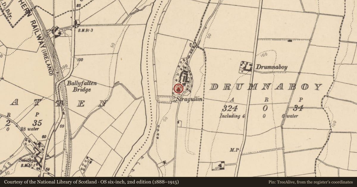 Ordnance Survey six-inch map, 2nd edition (1888–1915) covering the location of Stragullin, Derry City and Strabane, with a pin at the register's coordinates