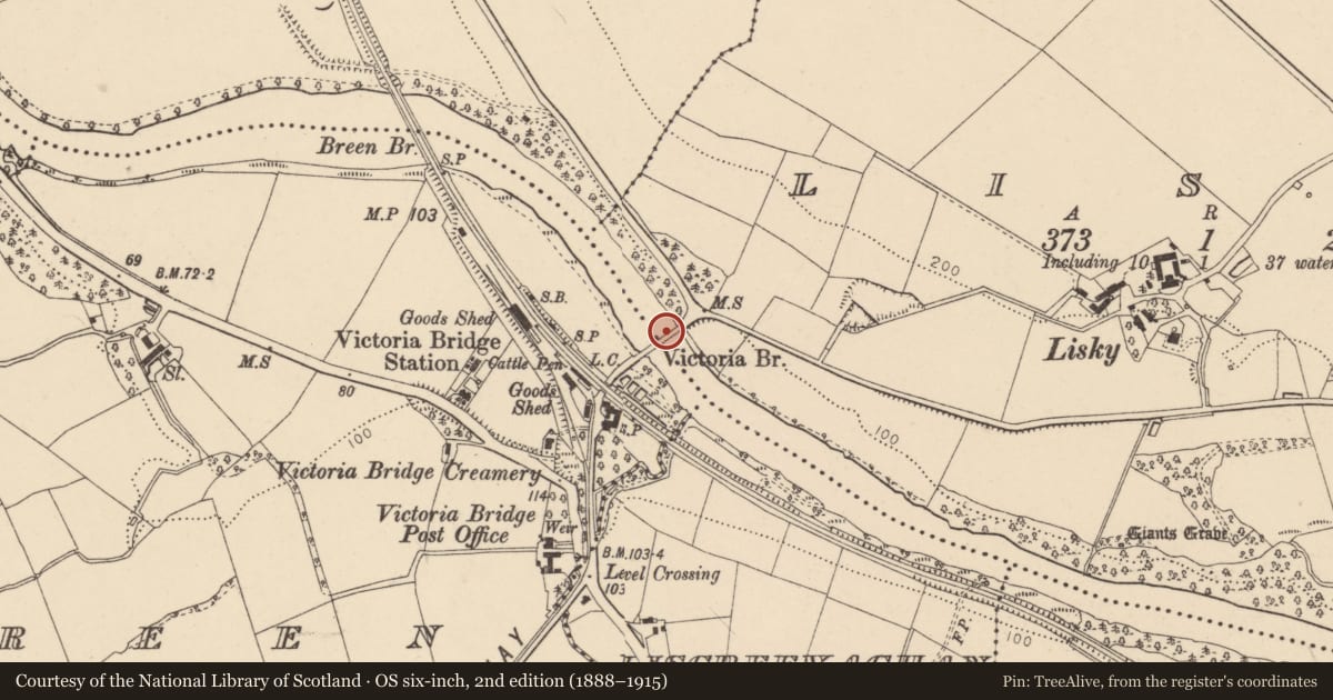Ordnance Survey six-inch map, 2nd edition (1888–1915) covering the location of Victoria Bridge, Breen, with a pin at the register's coordinates