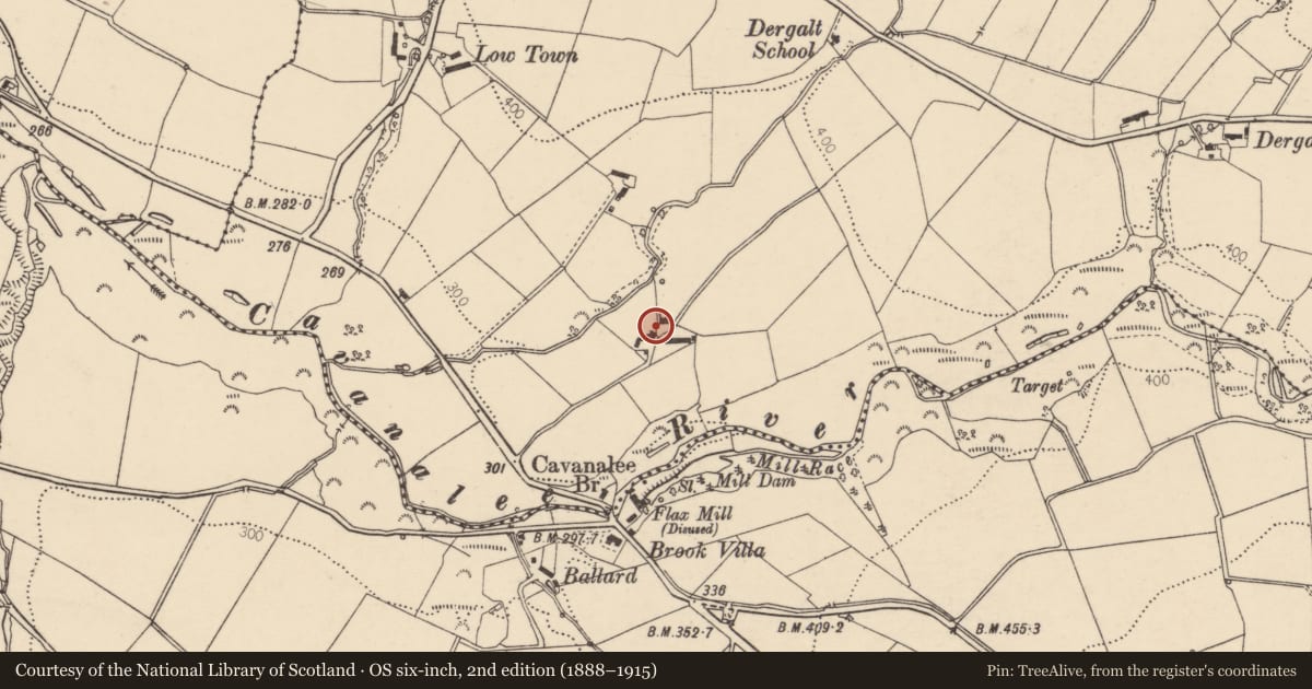 Ordnance Survey six-inch map, 2nd edition (1888–1915) covering the location of Wilson House, Dergalt, Derry City and Strabane, with a pin at the register's coordinates