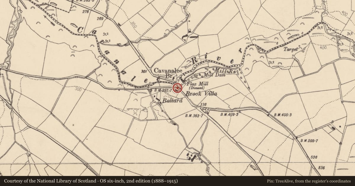 Ordnance Survey six-inch map, 2nd edition (1888–1915) covering the location of Brook House, 29 Spout Road, Cavanalee, Strabane BT82 8NB, Derry City and Strabane, with a pin at the register's coordinates