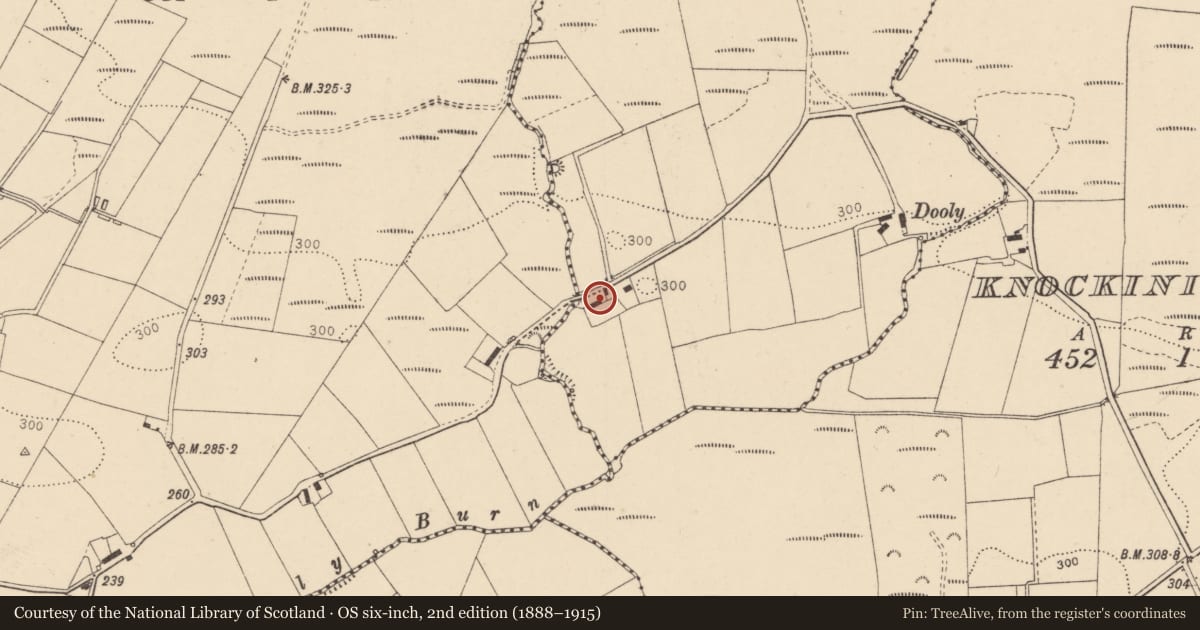 Ordnance Survey six-inch map, 2nd edition (1888–1915) covering the location of 20 Knock Road, Douglas Bridge, Strabane, BT82 8QR, Derry City and Strabane, with a pin at the register's coordinates
