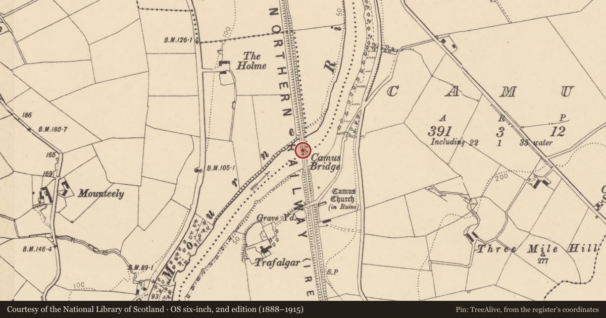 Ordnance Survey six-inch map, 2nd edition (1888–1915) covering the location of Camus Bridge over Mourne River, Camus & Seein, Derry City and Strabane, with a pin at the register's coordinates