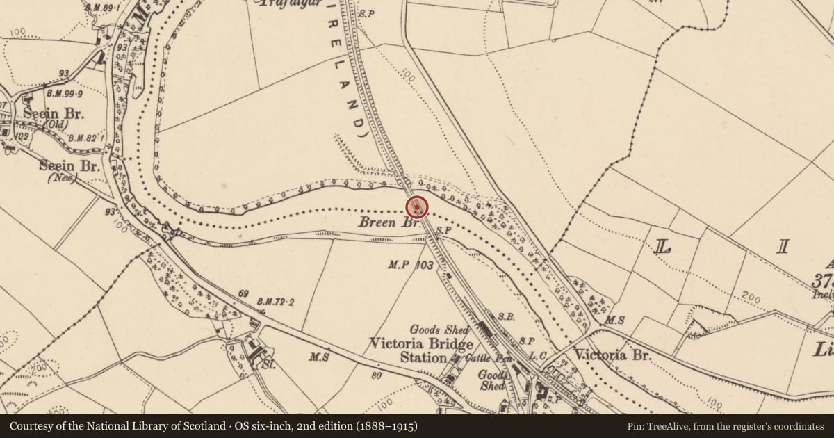 Ordnance Survey six-inch map, 2nd edition (1888–1915) covering the location of Breen bridge over Mourne River, Camus & Breen, Derry City and Strabane, with a pin at the register's coordinates